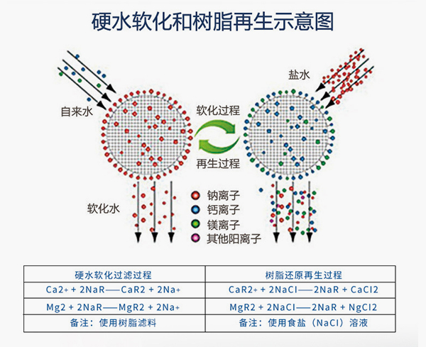 硬脂軟化和樹(shù)脂再生示意圖